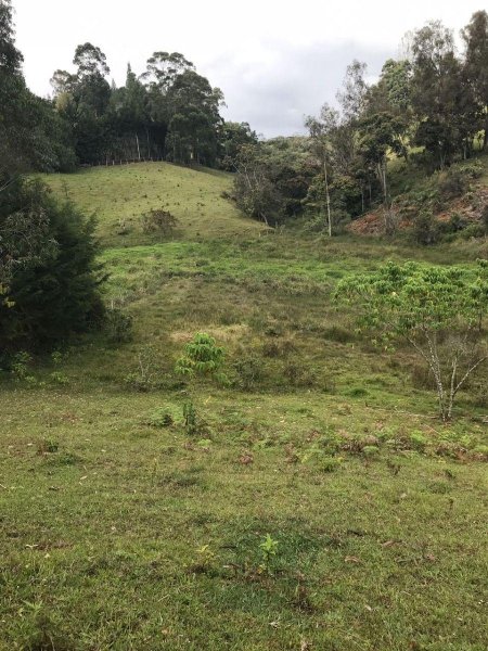 Lote en Venta en Ojo De Agua Carmen de Viboral, Antioquia