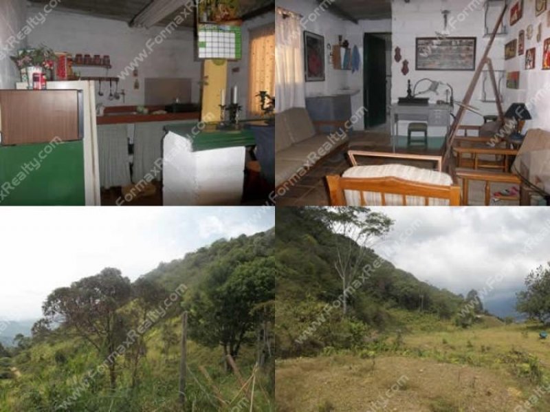 Foto Finca en Venta en poblado, Medellín, Antioquia - FIV57129 - BienesOnLine