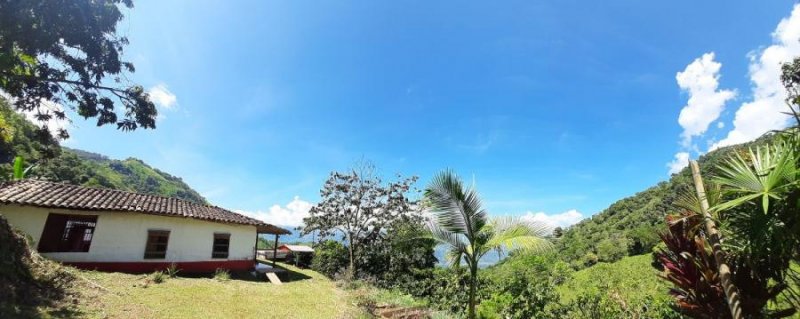 Finca en Venta en  Vereda San Ramon, Antioquia