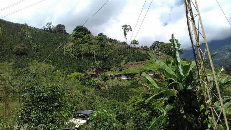 Finca en Venta en Vereda La Linda Santuario, Risaralda