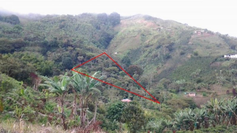 Finca en Venta en  Guatica, Risaralda