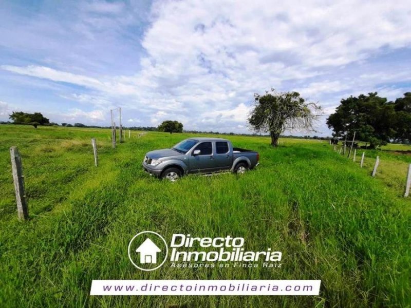 Foto Finca en Venta en Sabana de Torres, Santander - $ 7.560.000.000 - FIV196936 - BienesOnLine