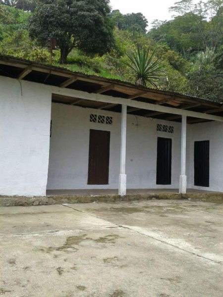 Foto Finca en Venta en Finca la Martinica Parte Baja, Ibagué, Tolima - 55 hectareas - $ 150.000.000 - FIV117306 - BienesOnLine