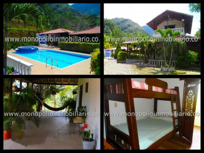 Foto Apartamento en Arriendo en Laureles, Medellín, Antioquia - APA123441 - BienesOnLine