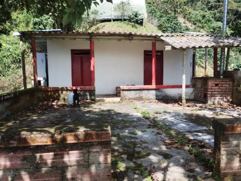 Foto Finca en Venta en Vereda el Choco, San Carlos, Antioquia - $ 350.000.000 - FIV209775 - BienesOnLine