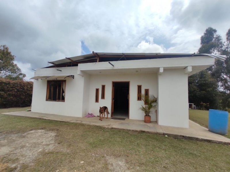 Foto Finca en Venta en Vereda Juan XXIII, Guarne, Antioquia - $ 400.000.000 - FIV193982 - BienesOnLine