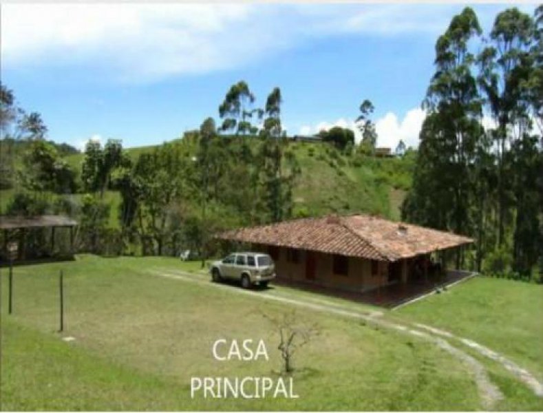 Foto Finca en Venta en Marinilla, Antioquia - $ 550.000.000 - FIV100151 - BienesOnLine