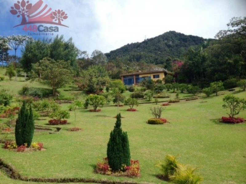 Foto Finca en Venta en Sector La Pastora, La Ceja, Antioquia - $ 795.000.000 - FIV85970 - BienesOnLine
