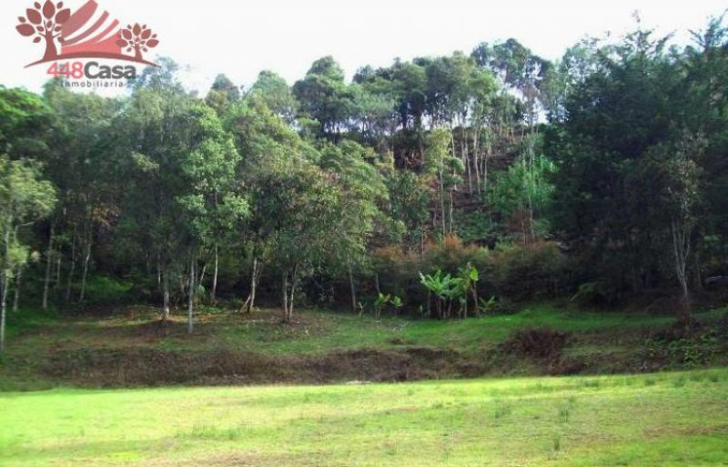 Foto Finca en Venta en Vereda La Fe, El Retiro, Antioquia - $ 800.000.000 - FIV74873 - BienesOnLine