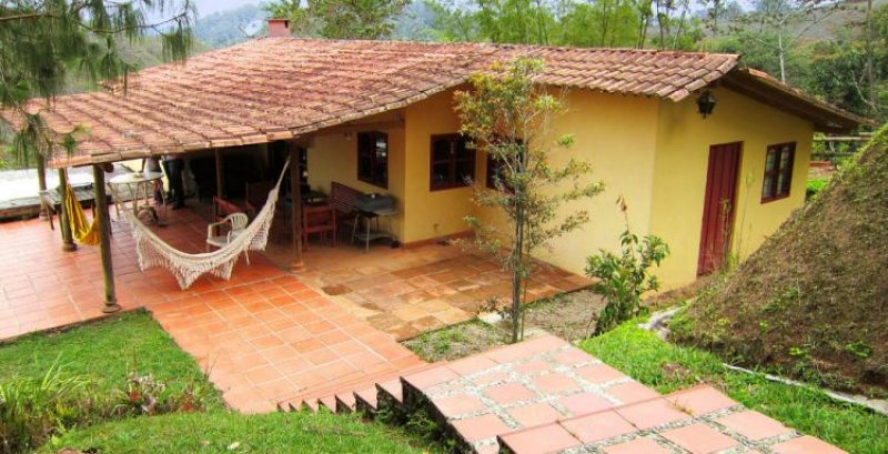 Foto Finca en Venta en Guatapé, Antioquia - $ 550.000.000 - FIV129916 - BienesOnLine