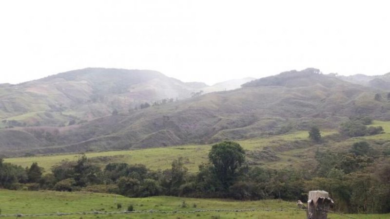 Foto Finca en Venta en manzanales, sonson, Antioquia - $ 1.400.000.000 - FIV156619 - BienesOnLine
