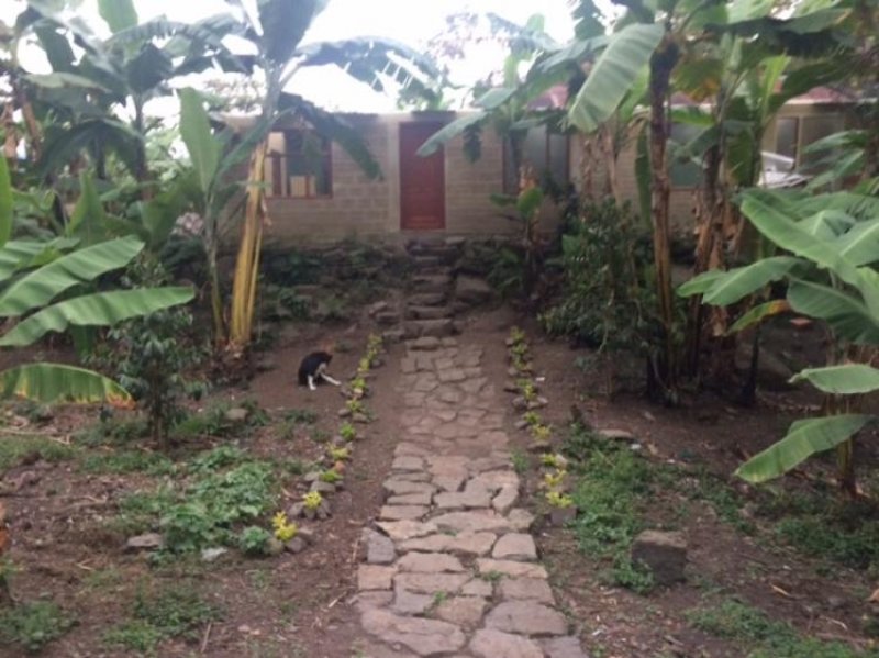 Foto Finca en Venta en VEREDA SANTA BARBARA, La Mesa, Cundinamarca - $ 150.000.000 - FIV95343 - BienesOnLine