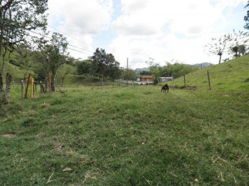 Foto Finca en Venta en PIEDRAS DE MOLER, , Valle del Cauca - $ 80.000.000 - FIV75496 - BienesOnLine