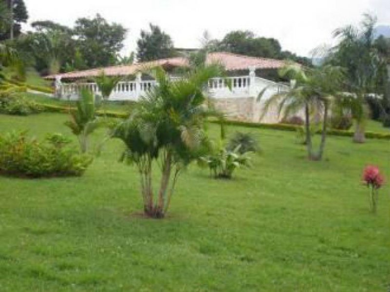 Foto Finca en Venta en Vereda el totumo- Girardota., Girardota, Antioquia - $ 2.000.000.000 - FIV91761 - BienesOnLine