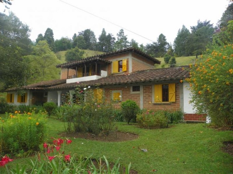 Foto Finca en Venta en Rionegro, Antioquia - $ 380.000.000 - FIV66251 - BienesOnLine