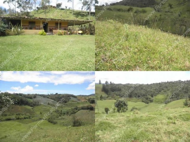 Foto Finca en Venta en Poblado, Medellín, Antioquia - $ 145 - FIV56616 - BienesOnLine