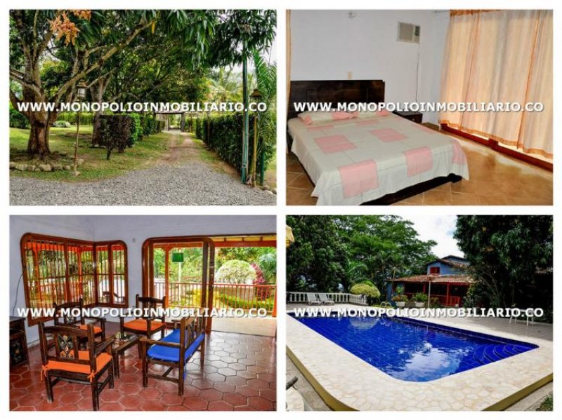 Foto Apartamento en Arriendo en laureles, Medellín, Antioquia - APA136339 - BienesOnLine