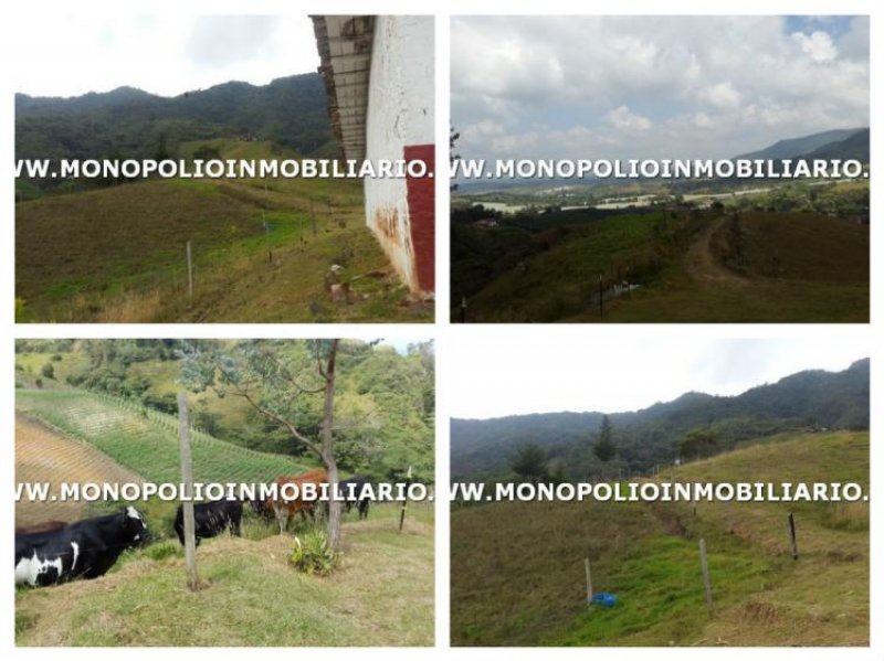Foto Apartamento en Venta en laureles, Medellín, Antioquia - APV137969 - BienesOnLine