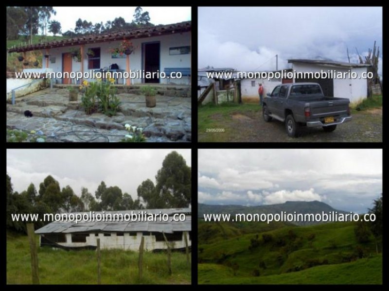 Foto Apartamento en Venta en Laureles, Medellín, Antioquia - APV121301 - BienesOnLine
