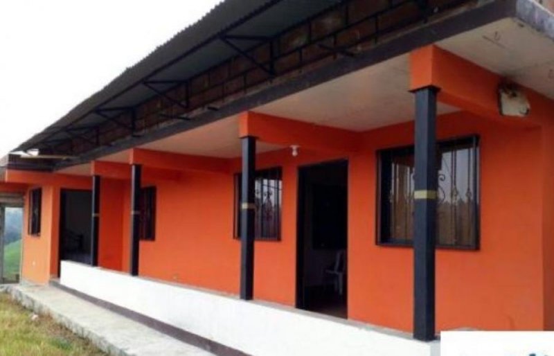 Foto Finca en Venta en San Pedro de los Milagros, Antioquia - $ 250.000.000 - FIV180268 - BienesOnLine
