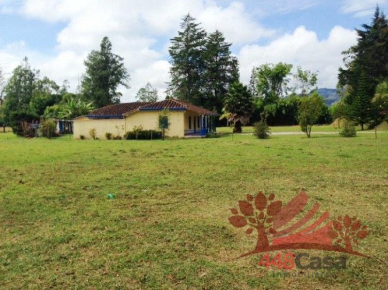 Foto Finca en Venta en V. Cabeceras, Rionegro, Antioquia - $ 1.200.000.000 - FIV76308 - BienesOnLine