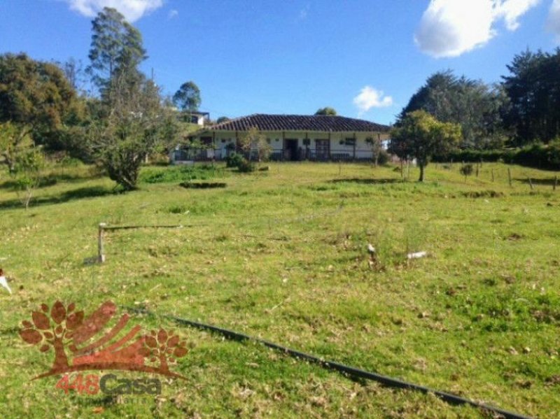 Foto Finca en Venta en El Retiro, Antioquia - $ 450.000.000 - FIV69372 - BienesOnLine