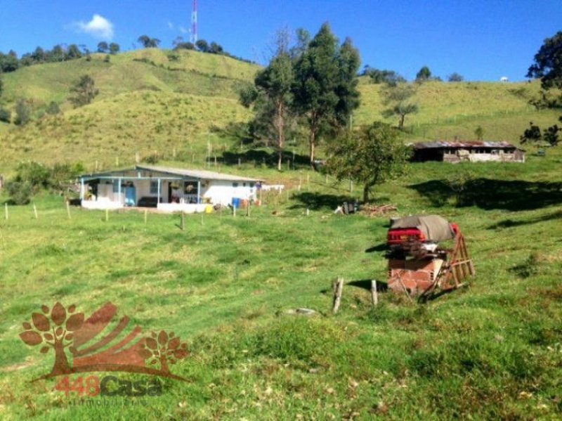 Foto Finca en Venta en El Retiro, Antioquia - $ 350.000.000 - FIV69355 - BienesOnLine