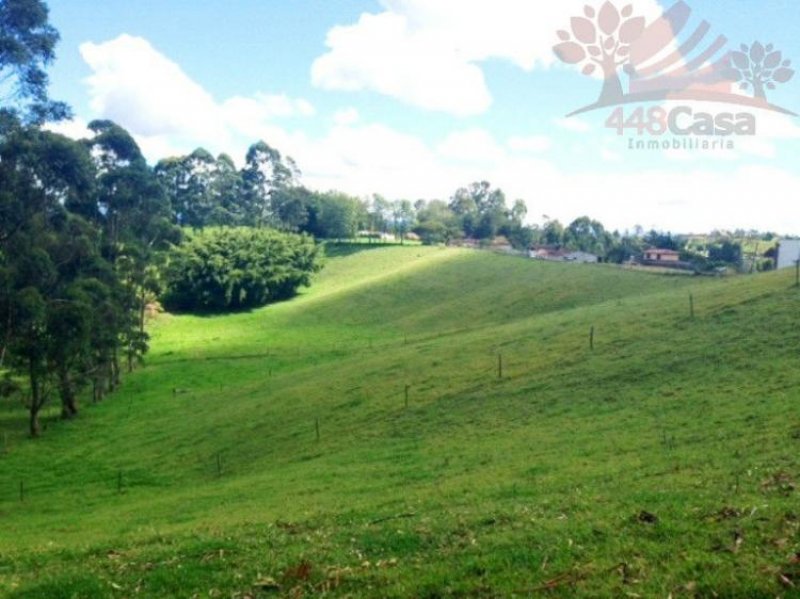 Foto Finca en Venta en Carmen de Viboral, Antioquia - $ 6.020.000.000 - FIV69793 - BienesOnLine