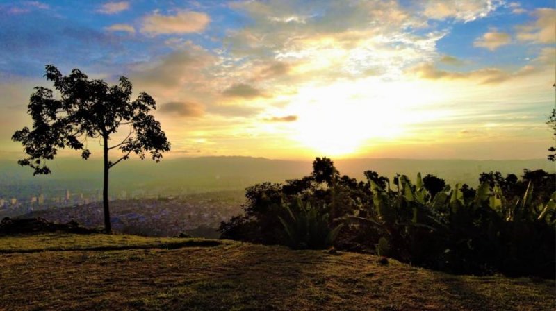 Finca en Venta en Floridablanca Floridablanca, Santander