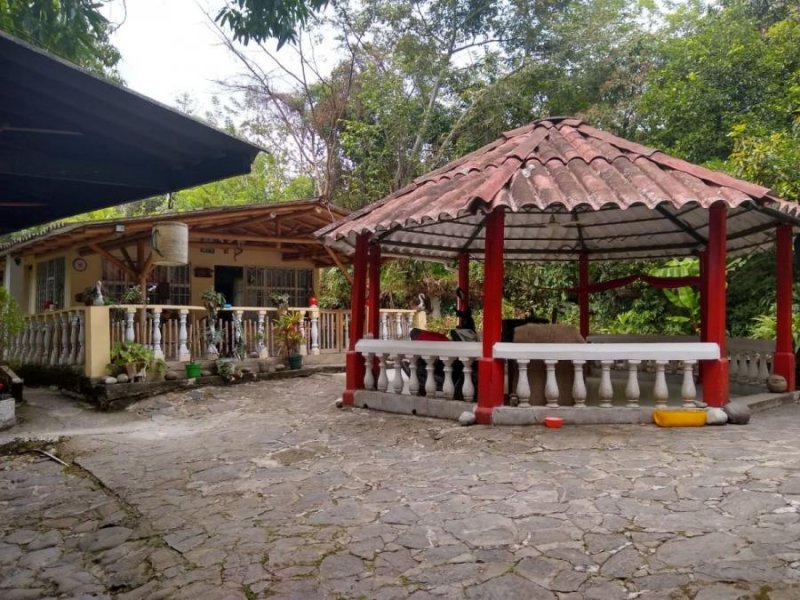 Foto Finca en Venta en FINCA VILLETA, Villeta, Cundinamarca - $ 330.000.000 - FIV186193 - BienesOnLine