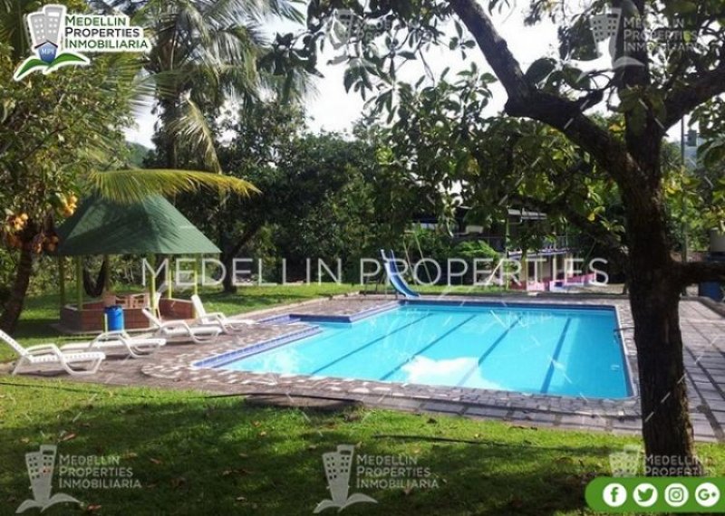 Foto Finca en Arriendo en La Pintada, Antioquia - FIA155495 - BienesOnLine