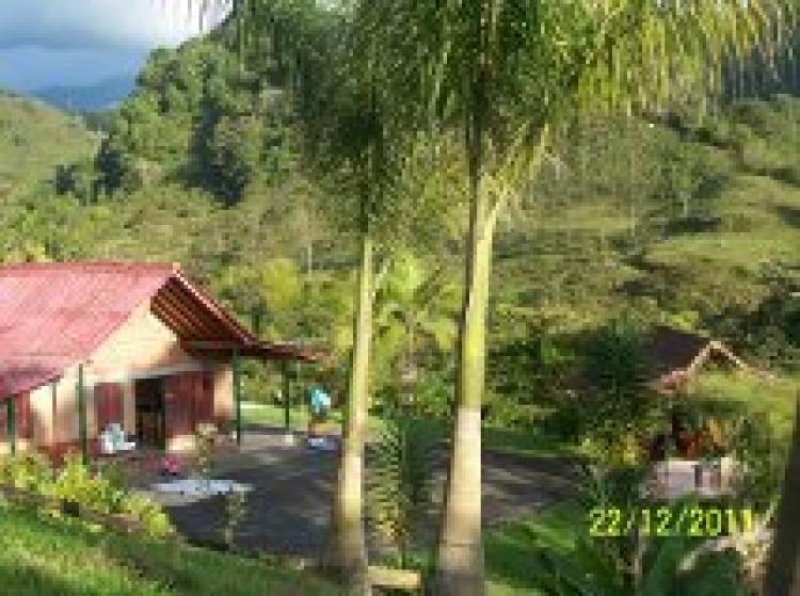 Foto Casa en Alojamiento en Pereira, Risaralda - $ 400.000 - CAAL39224 - BienesOnLine