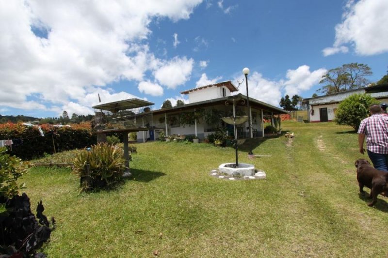 Foto Finca en Venta en Vereda El Molino, Guarne, Antioquia - $ 1.500.000.000 - FIV193716 - BienesOnLine