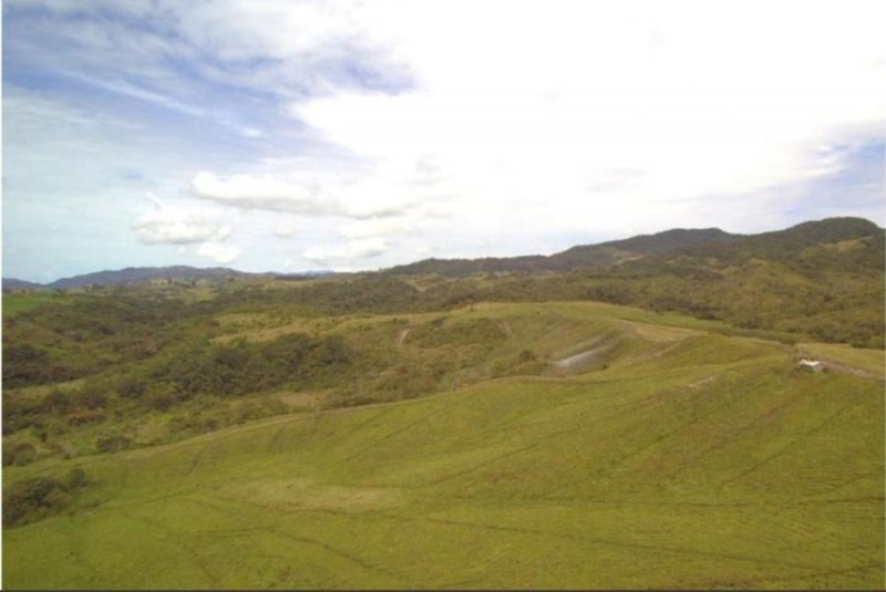 Foto Lote en Venta en La Unión, La Unión, Antioquia - $ 16.900.000.000 - LOV193009 - BienesOnLine