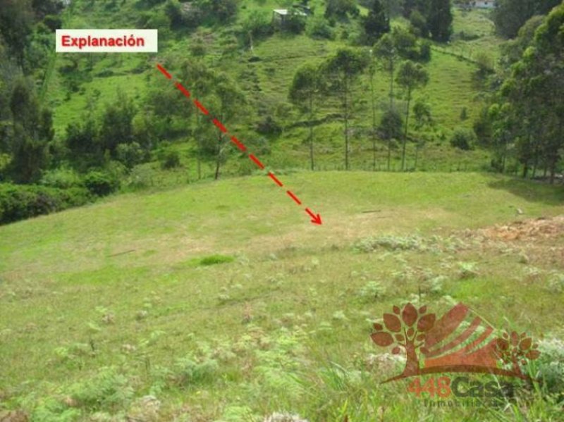 Foto Lote en Venta en Rionegro, Antioquia - $ 180.000.000 - LOV70136 - BienesOnLine