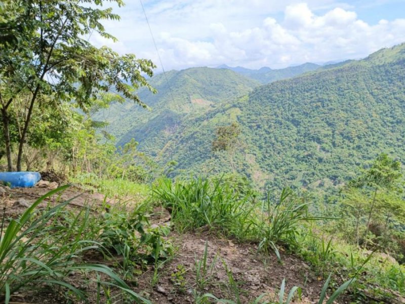 Lote en Venta en Vereda santa bárbara Quebradanegra, Cundinamarca