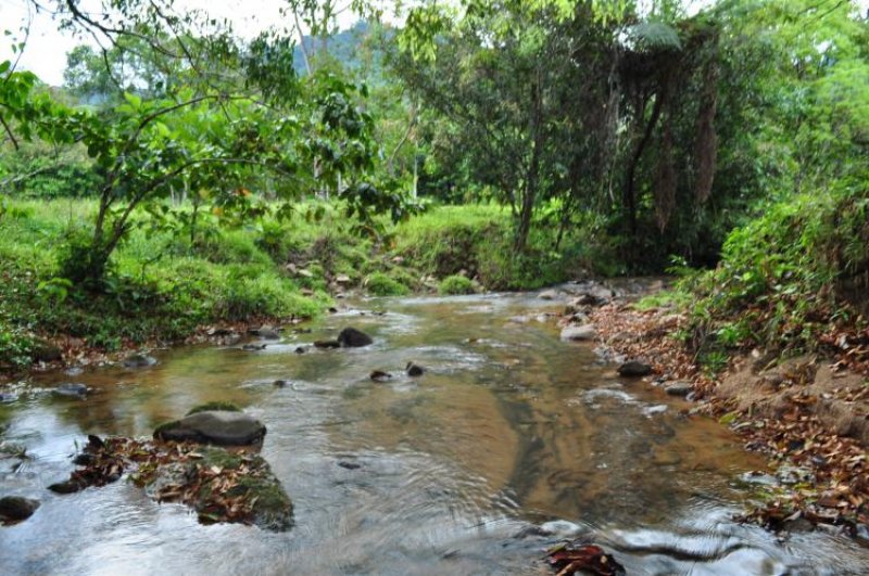 Finca en Venta en Vereda Marcaibo Florencia, Caquetá