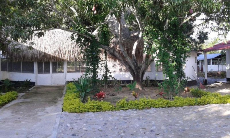 Finca en Venta en  Guamo, Tolima