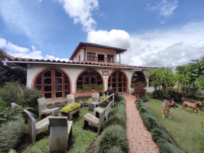 Foto Finca en Venta en Vereda Guapante, Guarne, Antioquia - $ 995.000.000 - FIV193471 - BienesOnLine