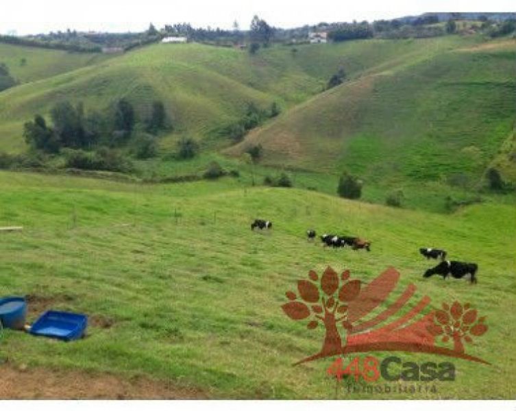 Foto Finca en Venta en Marinilla, Antioquia - $ 1.200.000.000 - FIV70770 - BienesOnLine