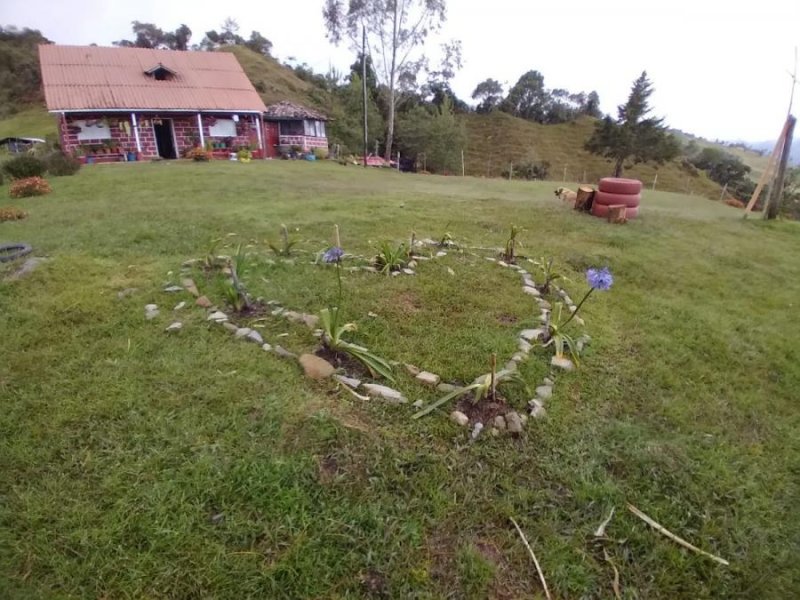 Lote en Venta en El cardal Mesopotamia, Antioquia