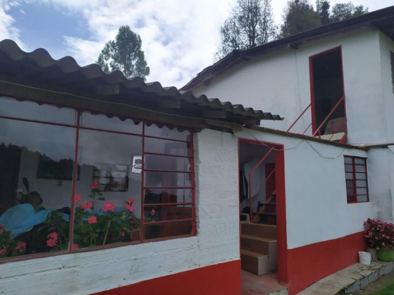 Finca en Venta en Vereda el Turco Vereda El Turco, Antioquia