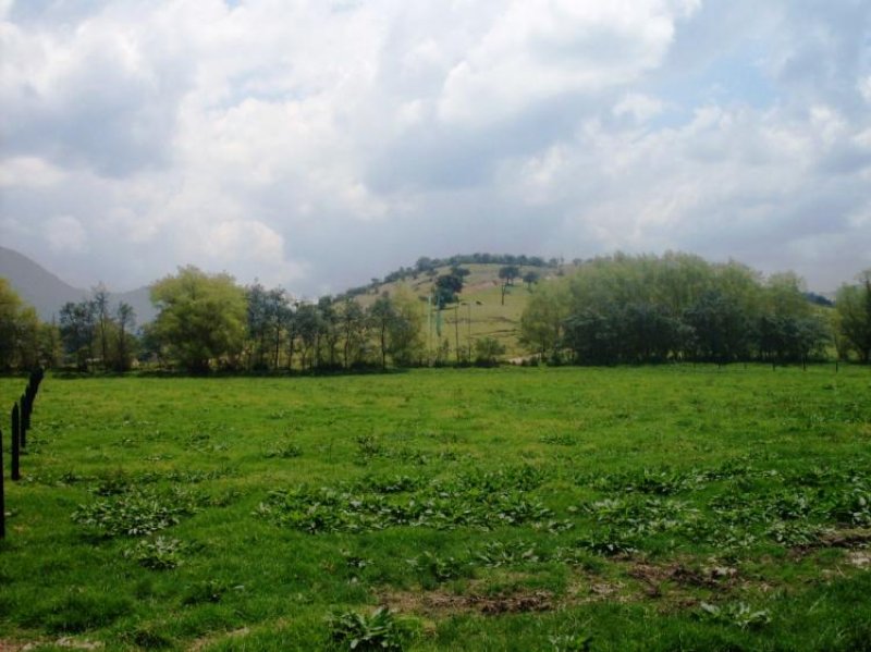 Foto Lote en Venta en La Calera, Cundinamarca - $ 500.000.000 - LOV6258 - BienesOnLine