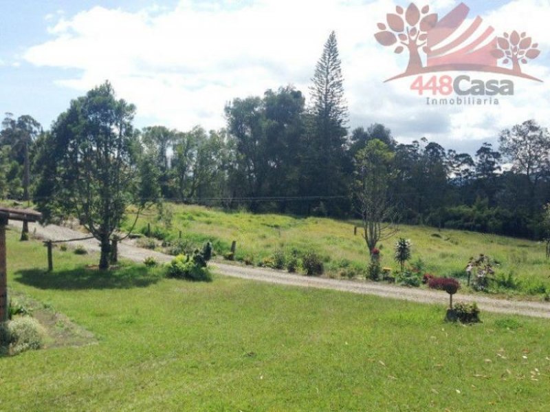 Foto Lote en Venta en Sector Universidad de Antioquia, Carmen de Viboral, Antioquia - $ 3.060.000.000 - LOV80955 - BienesOnLine