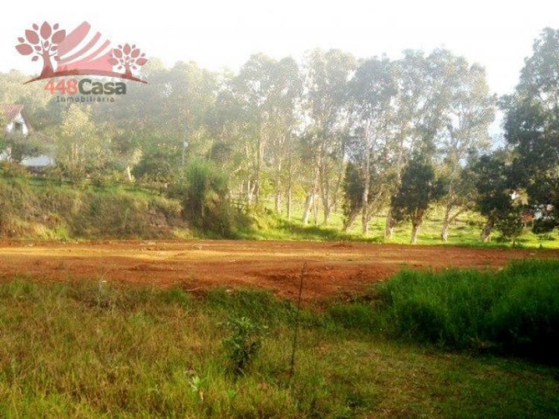 Foto Lote en Venta en Rionegro, Antioquia - $ 380.000.000 - LOV71442 - BienesOnLine
