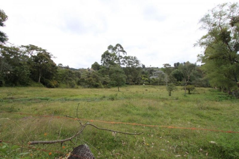 Foto Lote en Venta en Vereda El Molino, Guarne, Antioquia - $ 630.000.000 - LOV192665 - BienesOnLine