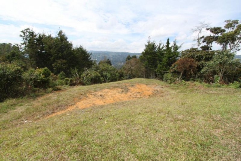 Foto Lote en Venta en Vereda El Molino, Guarne, Antioquia - $ 319.500.000 - LOV192705 - BienesOnLine