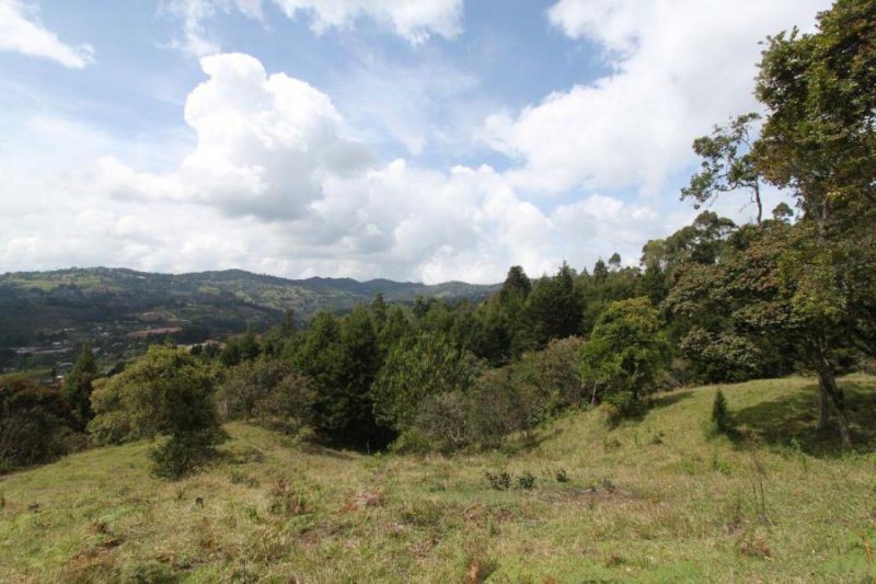 Foto Lote en Venta en Vereda El Molino, Guarne, Antioquia - $ 677.000.000 - LOV192710 - BienesOnLine