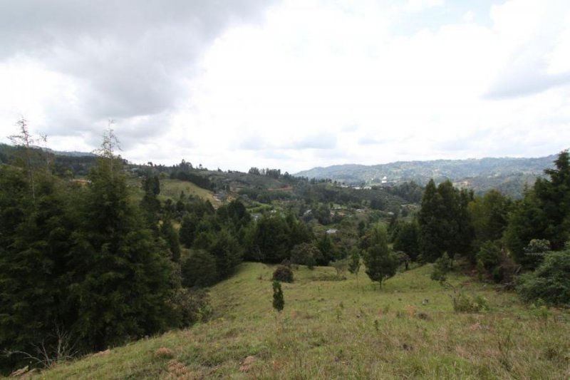 Foto Lote en Venta en Vereda El Molino, Guarne, Antioquia - $ 475.000.000 - LOV192745 - BienesOnLine