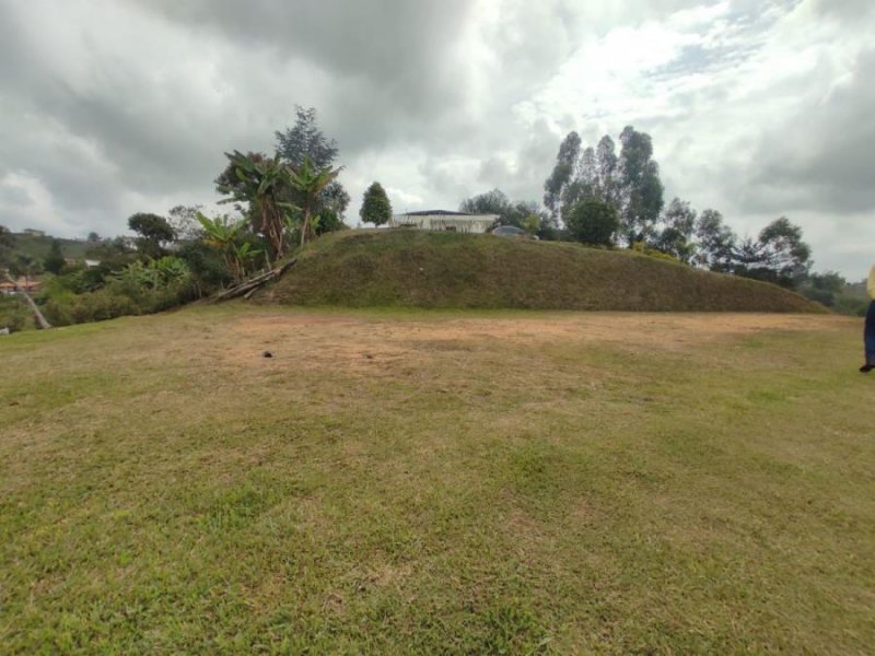 Foto Lote en Venta en Vereda Juan XXIII, Guarne, Antioquia - $ 160.000.000 - LOV193834 - BienesOnLine